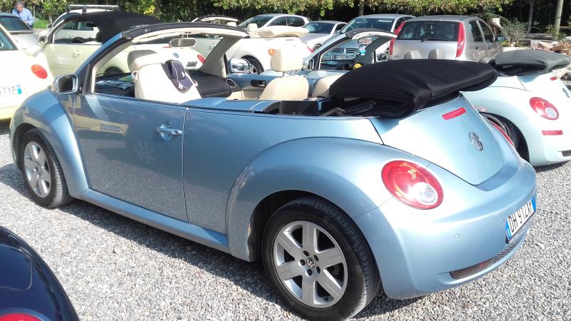 Raduno ad alto grad....azione ! :-D