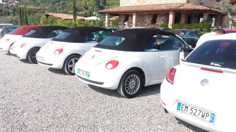 Raduno ad alto grad....azione ! :-D