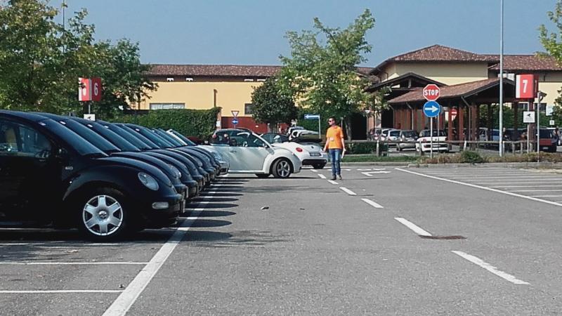 Raduno ad alto grad....azione ! :-D