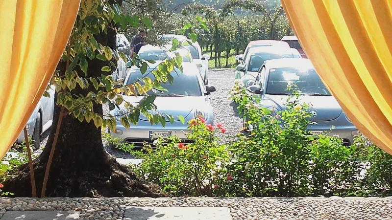 Raduno ad alto grad....azione ! :-D