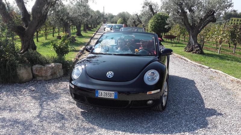 Raduno ad alto grad....azione ! :-D