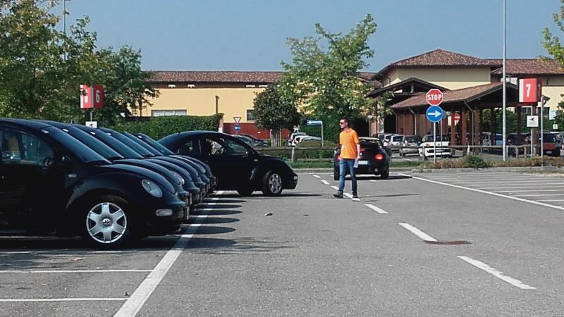 Raduno ad alto grad....azione ! :-D