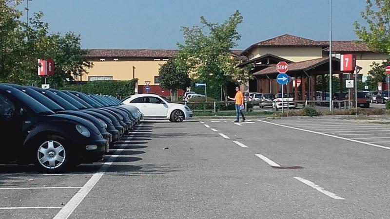 Raduno ad alto grad....azione ! :-D