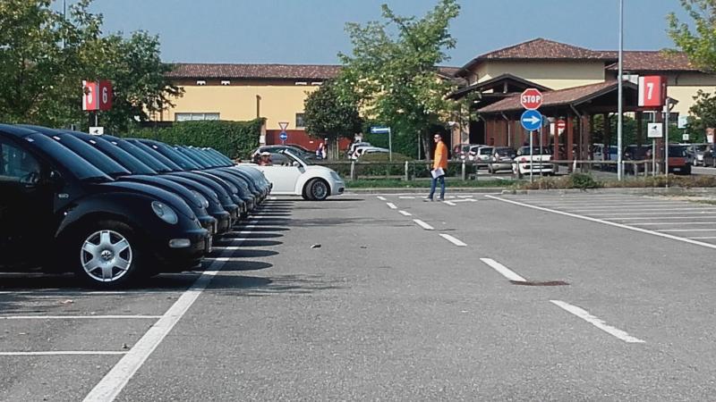 Raduno ad alto grad....azione ! :-D