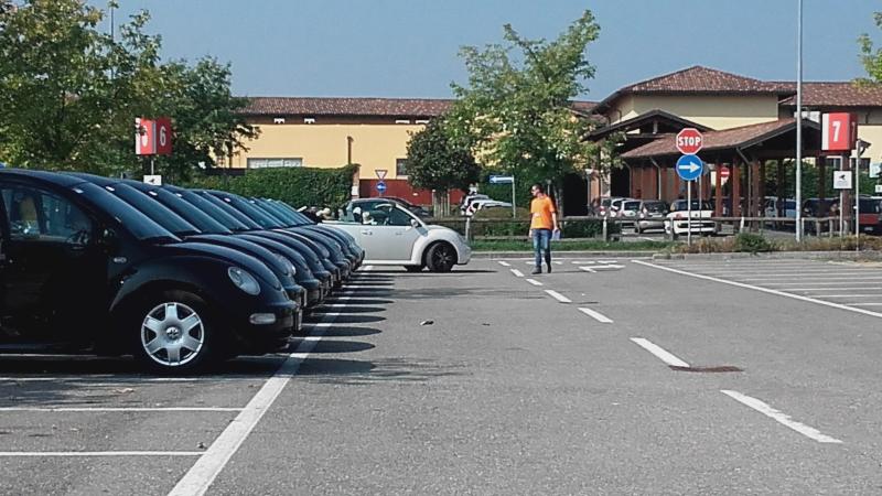 Raduno ad alto grad....azione ! :-D