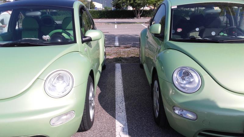 Raduno ad alto grad....azione ! :-D