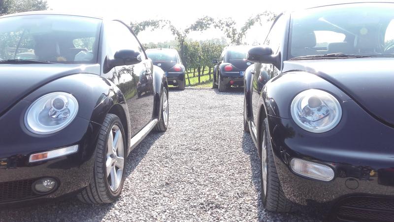 Raduno ad alto grad....azione ! :-D