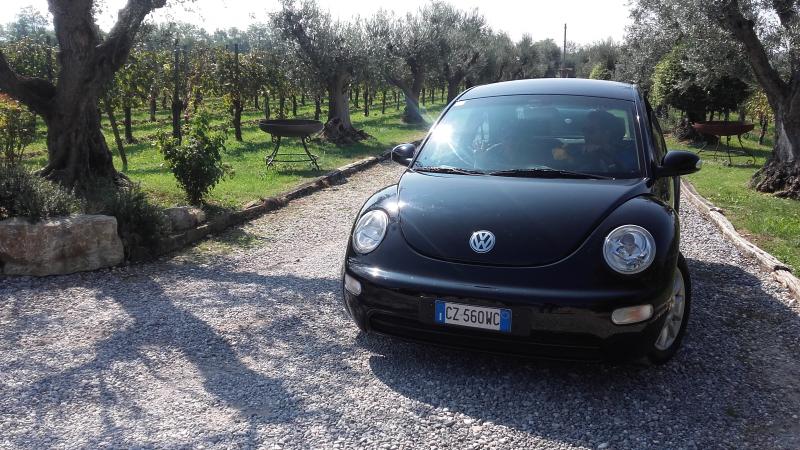 Raduno ad alto grad....azione ! :-D