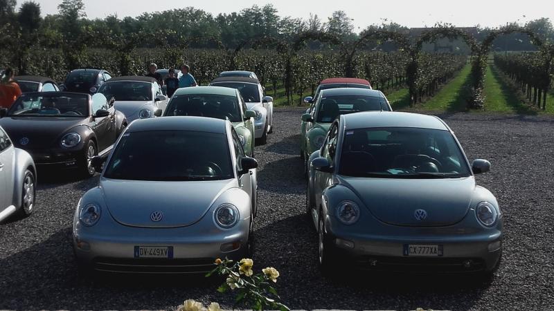 Raduno ad alto grad....azione ! :-D