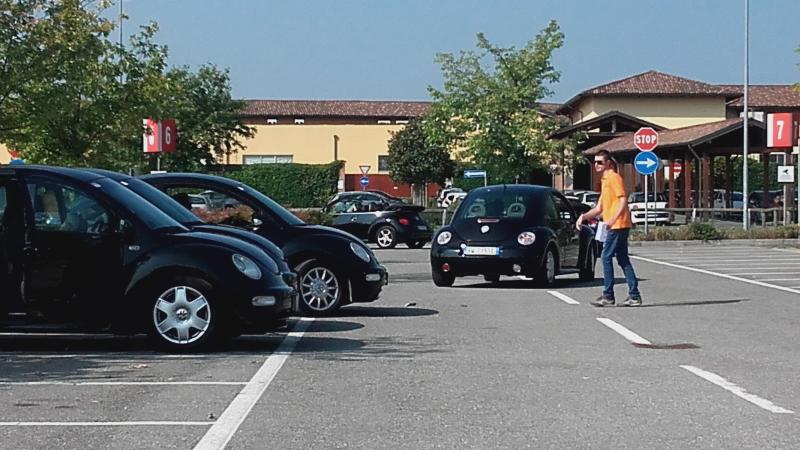 Raduno ad alto grad....azione ! :-D