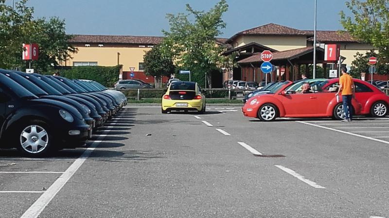 Raduno ad alto grad....azione ! :-D