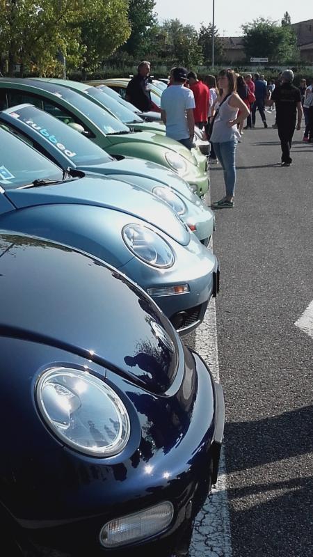 Raduno ad alto grad....azione ! :-D