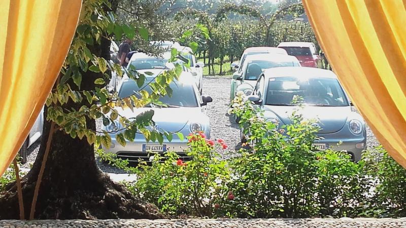 Raduno ad alto grad....azione ! :-D