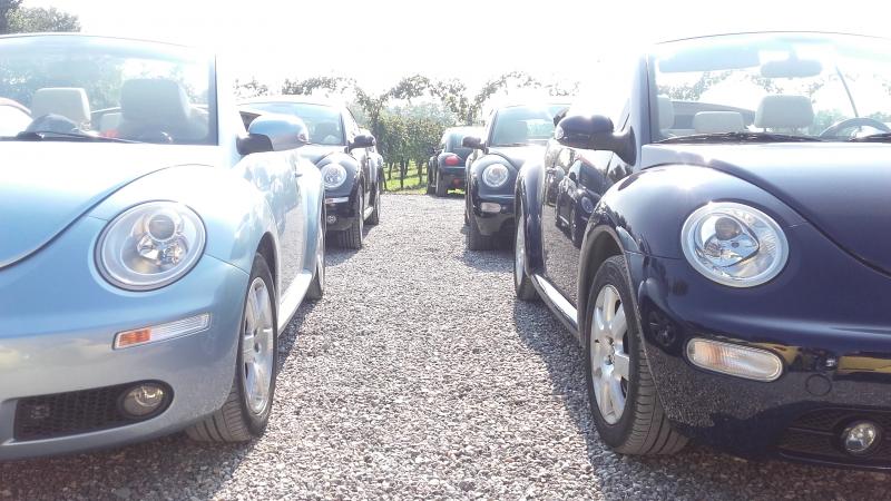 Raduno ad alto grad....azione ! :-D