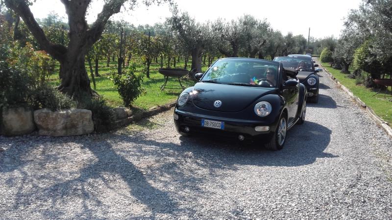 Raduno ad alto grad....azione ! :-D