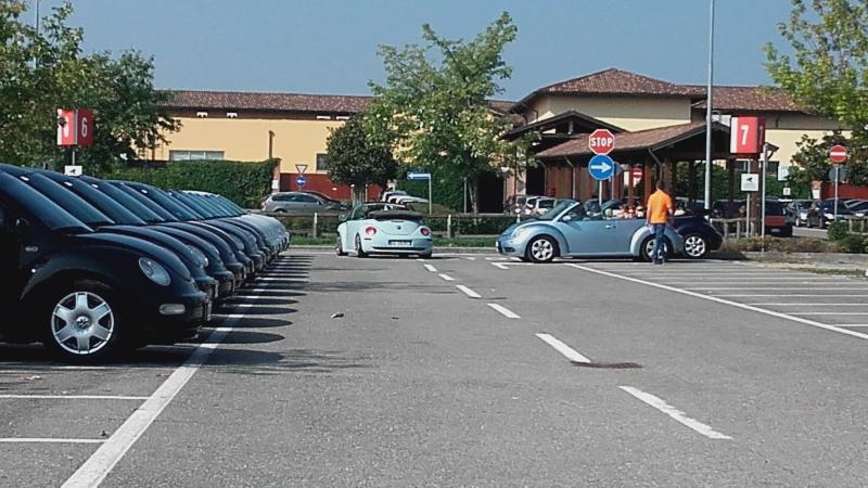 Raduno ad alto grad....azione ! :-D