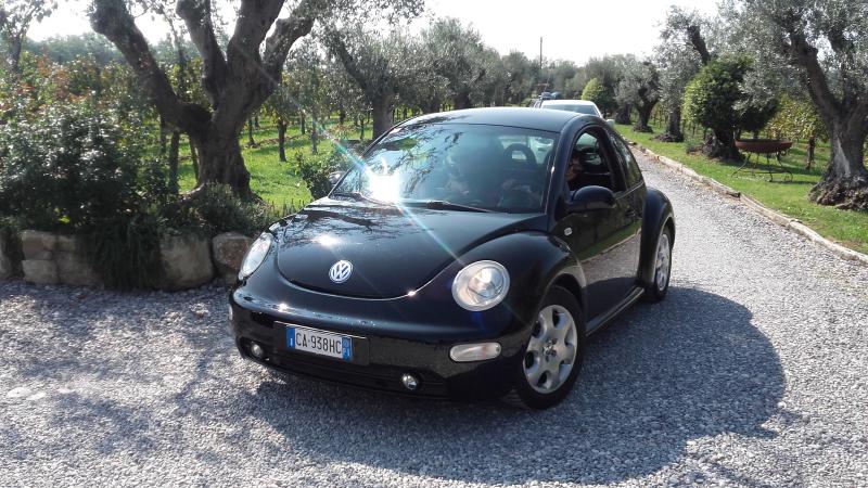 Raduno ad alto grad....azione ! :-D