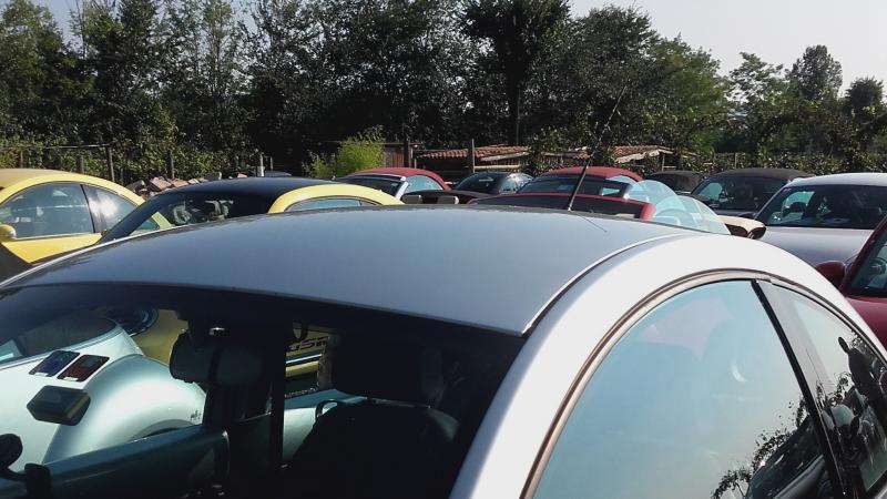 Raduno ad alto grad....azione ! :-D