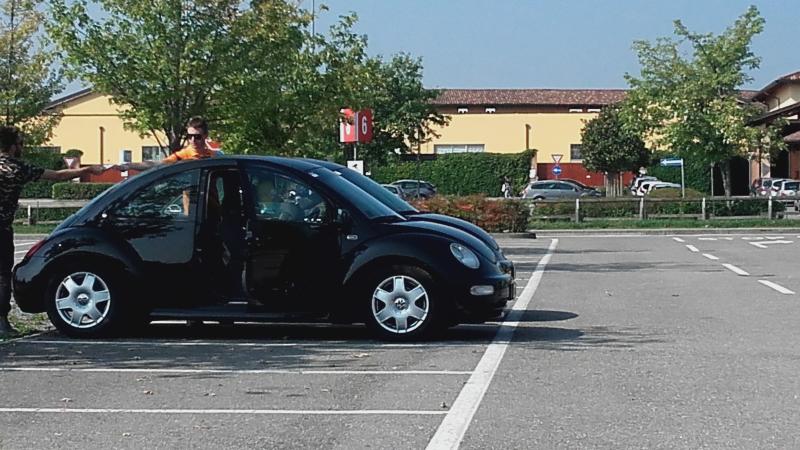 Raduno ad alto grad....azione ! :-D