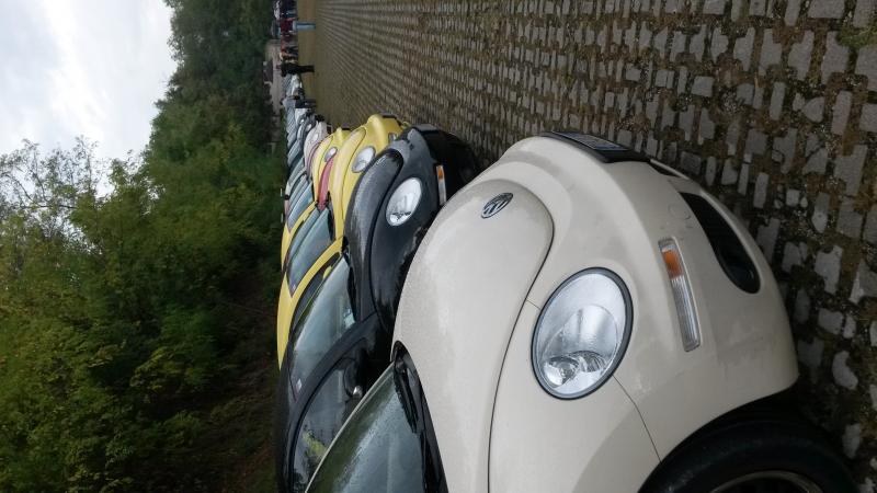 Raduno d' autunno 2015 AP - Abbazia di Praglia e Arqu? Petrarca