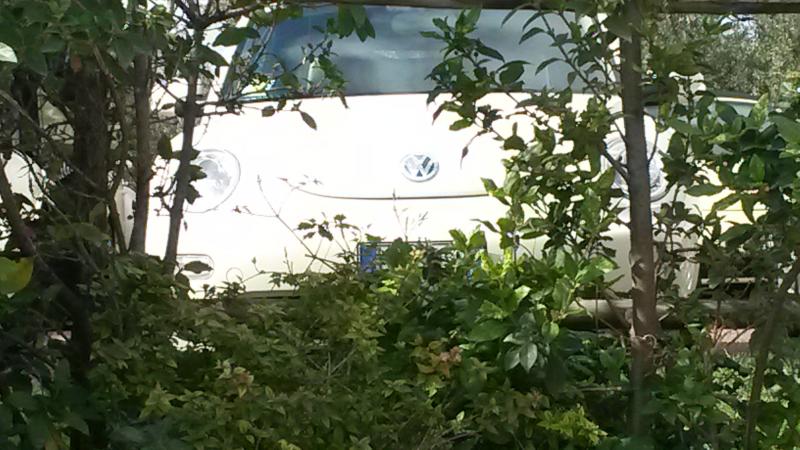 Raduno d' autunno 2015 AP - Abbazia di Praglia e Arqu? Petrarca