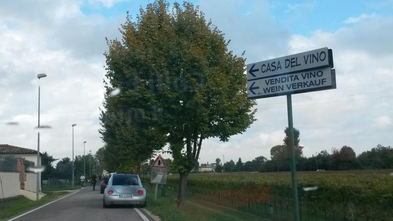 Raduno d' autunno 2015 AP - Abbazia di Praglia e Arqu? Petrarca