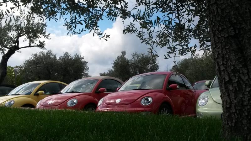 Raduno d' autunno 2015 AP - Abbazia di Praglia e Arqu? Petrarca