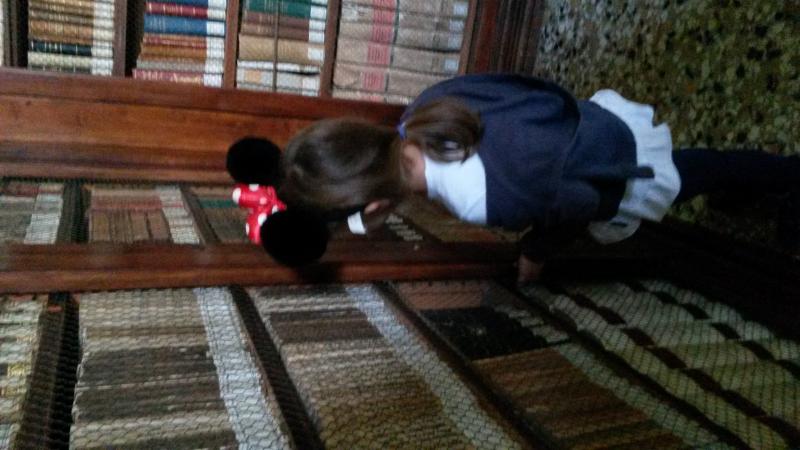 Raduno d' autunno 2015 AP - Abbazia di Praglia e Arqu? Petrarca