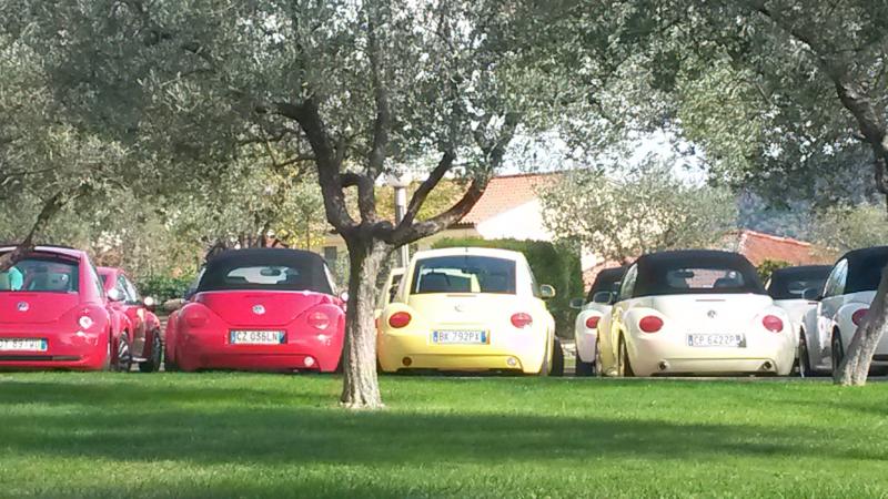 Raduno d' autunno 2015 AP - Abbazia di Praglia e Arqu? Petrarca