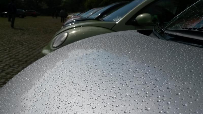 Raduno d' autunno 2015 AP - Abbazia di Praglia e Arqu? Petrarca