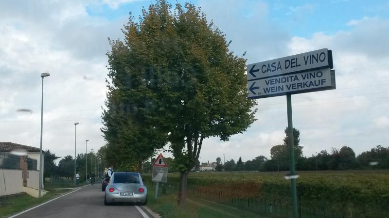 Raduno d' autunno 2015 AP - Abbazia di Praglia e Arqu? Petrarca