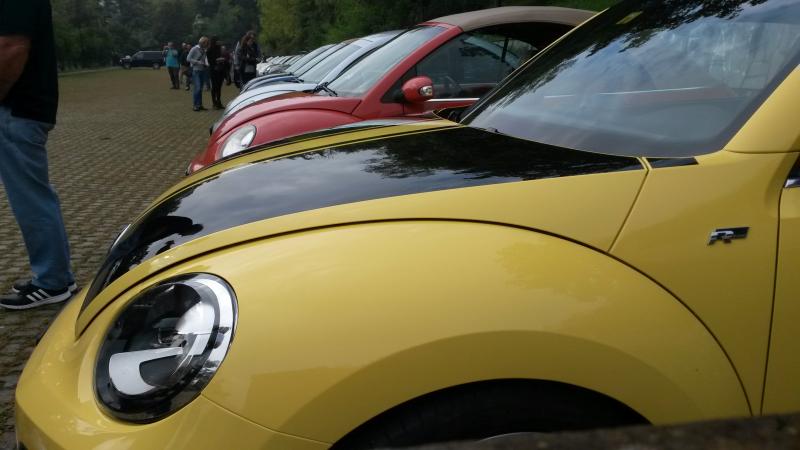 Raduno d' autunno 2015 AP - Abbazia di Praglia e Arqu? Petrarca