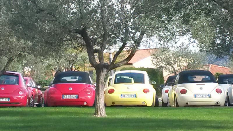 Raduno d' autunno 2015 AP - Abbazia di Praglia e Arqu? Petrarca