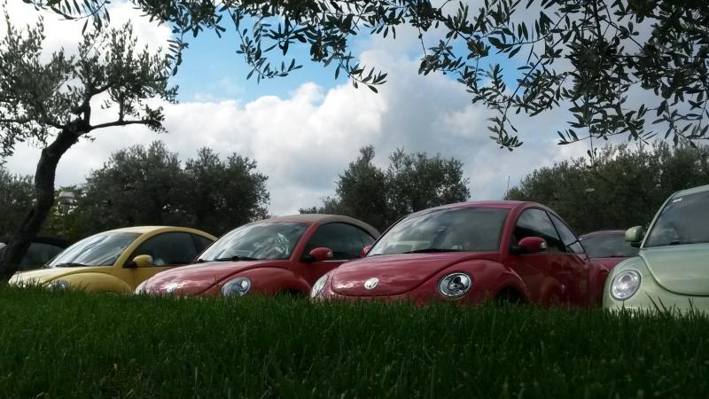 Raduno d' autunno 2015 AP - Abbazia di Praglia e Arqu? Petrarca