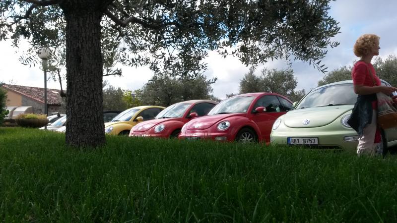 Raduno d' autunno 2015 AP - Abbazia di Praglia e Arqu? Petrarca