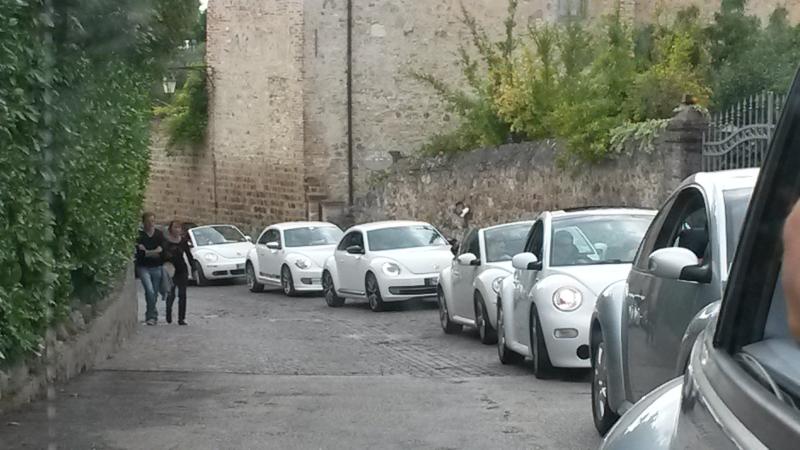 Raduno d' autunno 2015 AP - Abbazia di Praglia e Arqu? Petrarca