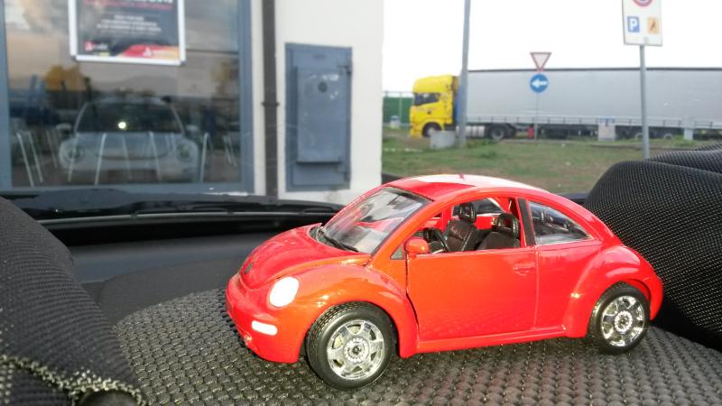 Raduno d' autunno 2015 AP - Abbazia di Praglia e Arqu? Petrarca