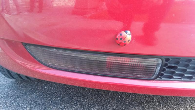 Raduno d' autunno 2015 AP - Abbazia di Praglia e Arqu? Petrarca