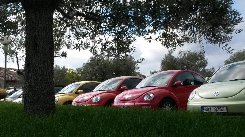 Raduno d' autunno 2015 AP - Abbazia di Praglia e Arqu? Petrarca