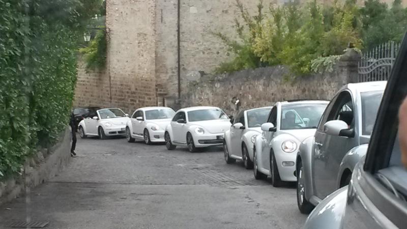 Raduno d' autunno 2015 AP - Abbazia di Praglia e Arqu? Petrarca