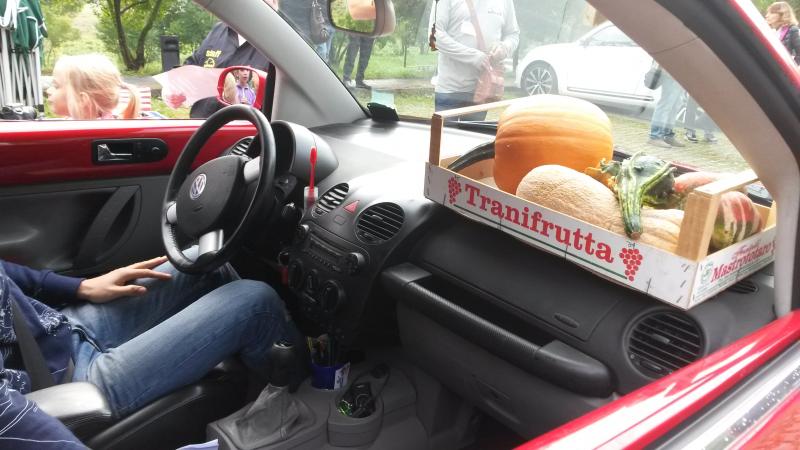 Raduno d' autunno 2015 AP - Abbazia di Praglia e Arqu? Petrarca