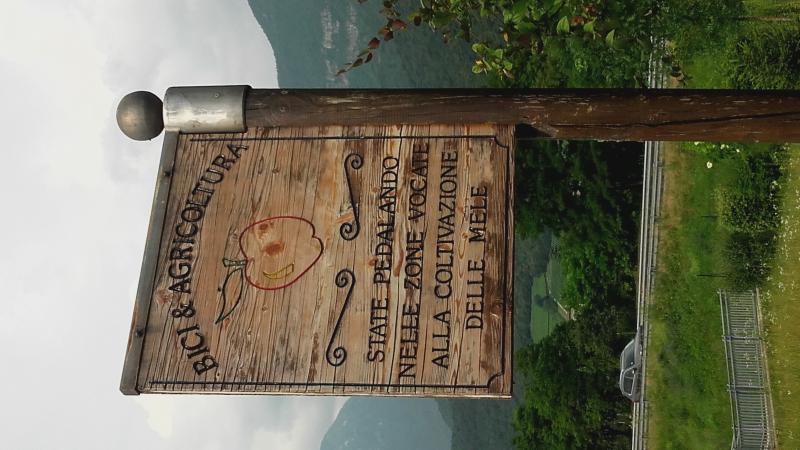 Raduno d' estate 2016 a Rovereto