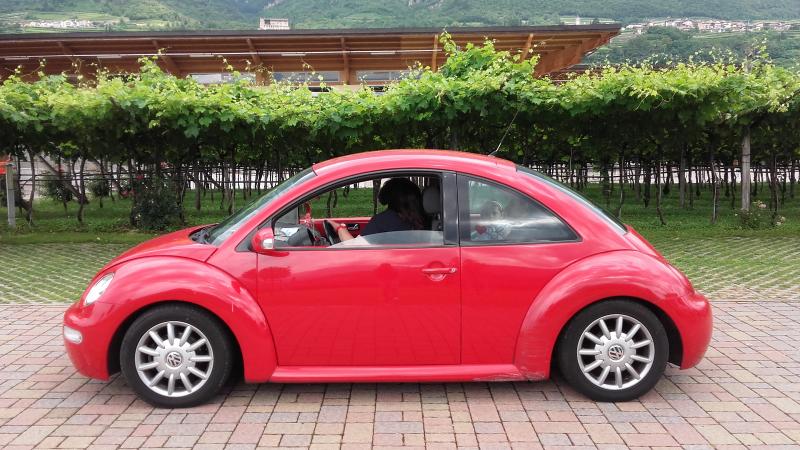 Raduno d' estate 2016 a Rovereto