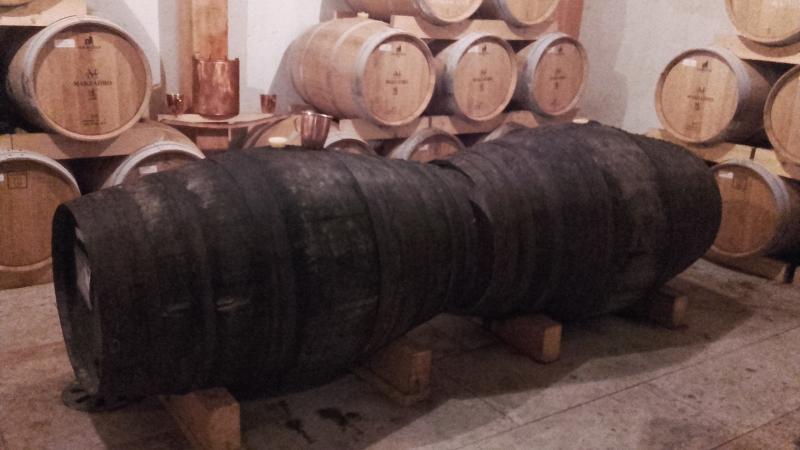 Raduno d' estate 2016 a Rovereto