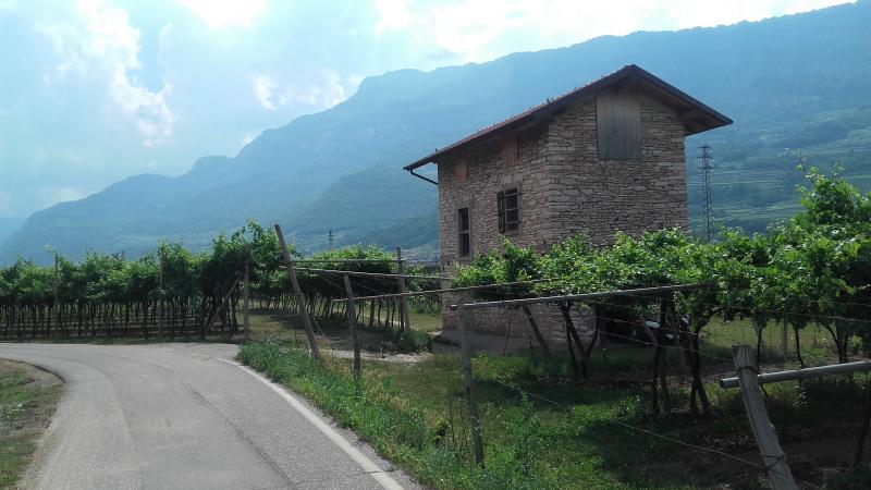 Raduno d' estate 2016 a Rovereto