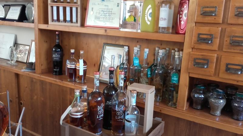 Raduno d' estate 2016 a Rovereto