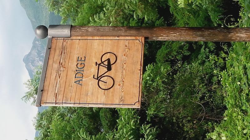 Raduno d' estate 2016 a Rovereto