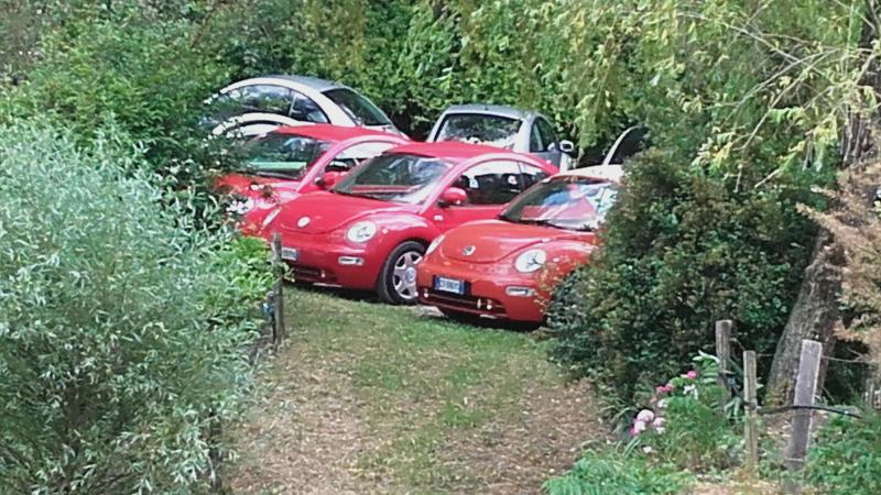 Raduno d' estate 2016 a Rovereto