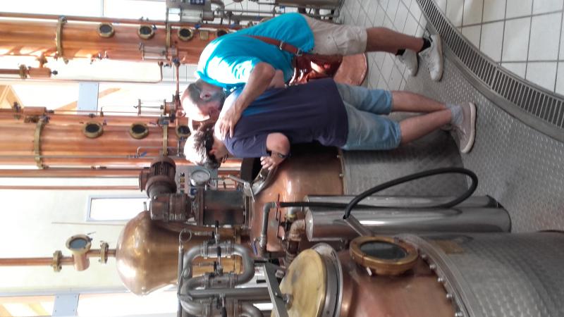 Raduno d' estate 2016 a Rovereto