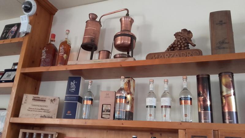 Raduno d' estate 2016 a Rovereto